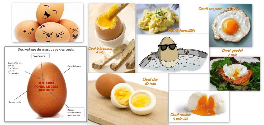 Les oeufs